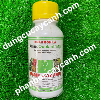 Amino Mg+ Axit amin 100cc Tây Ban Nha