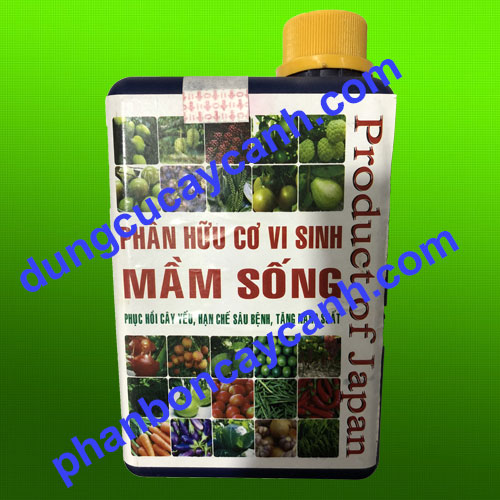 Phan-huu-co-vi-sinh-mam-song