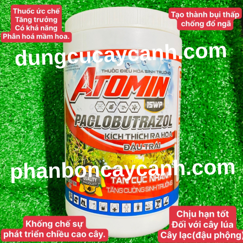Atomin-Paclobutrazon-that-ngon-kich-hoa-dau-trai-1kg