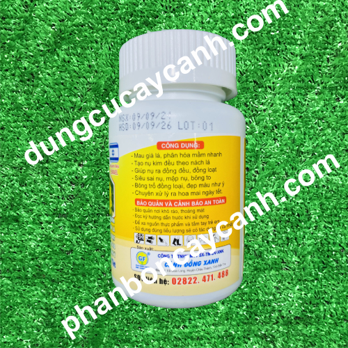 Phan-kich-nu-tao-hoa-mai-isarel-100gr