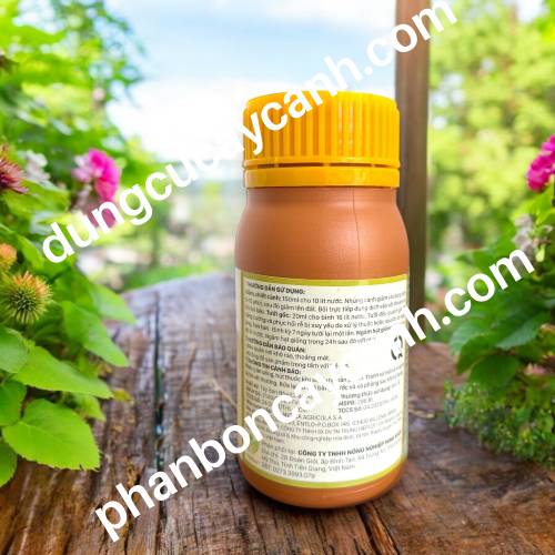 kich-re-raykat-Tay-Ban-Nha-100ml
